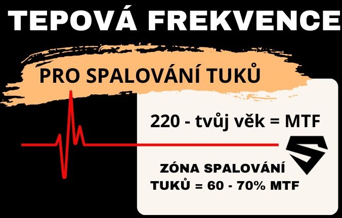 tepová frekvence